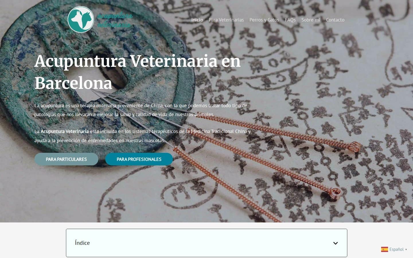 Captura de la web Acupuntura Veterinaria