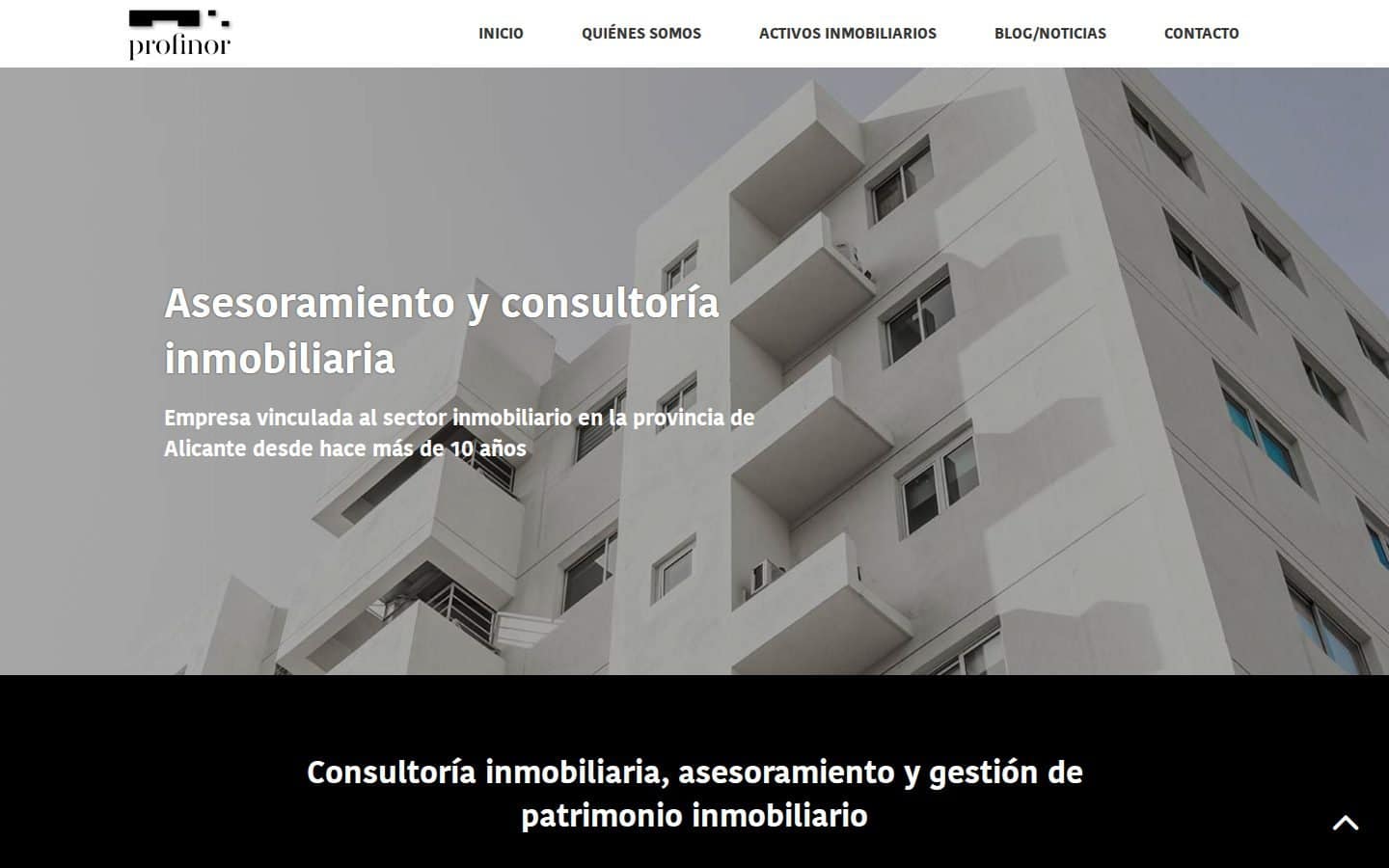 Captura de la web Profinor